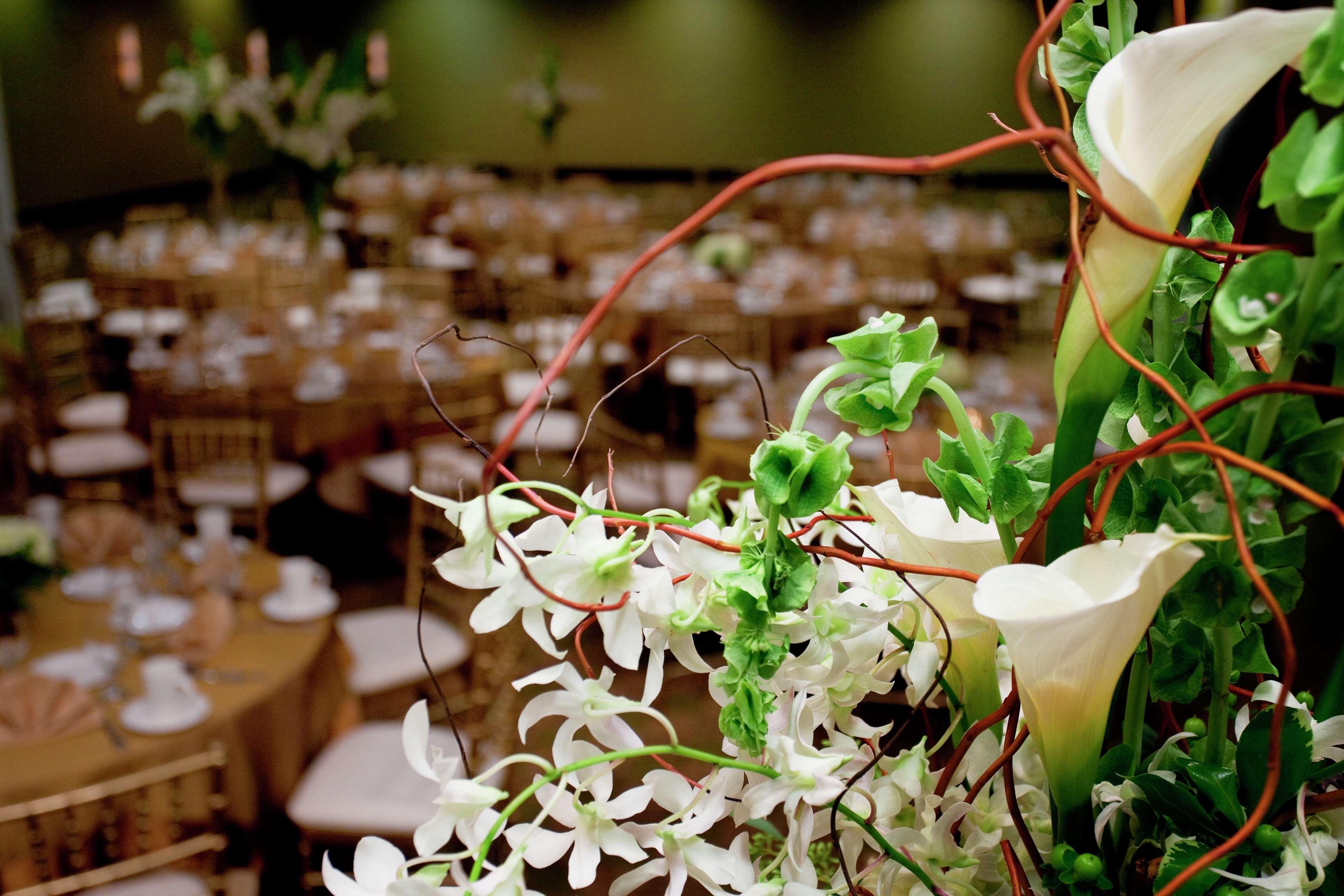 Hilton Garden Inn Seattle/Bothell Εξωτερικό φωτογραφία